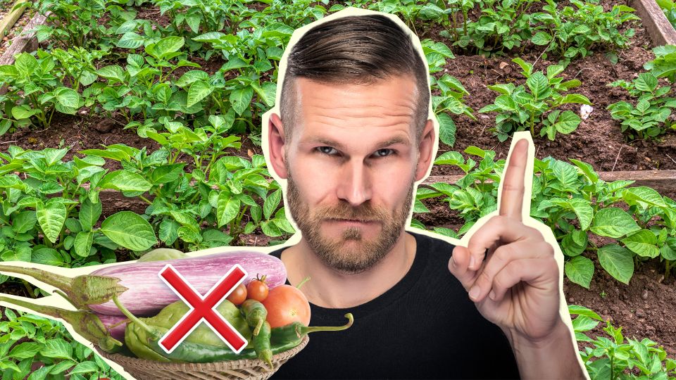 ����� ��������� ��� ��������� ����� �����������: ����������� �������� � ����������