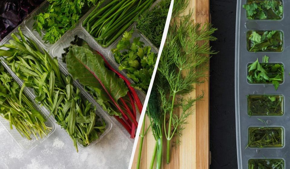 ������� �������� �������� � ������: ��� ��������� �������� �� ������