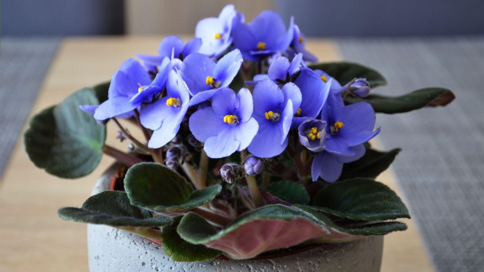 ��� ������ ��������� 9 �� 10 ������: ����� �� �����������, ��� ������ �������