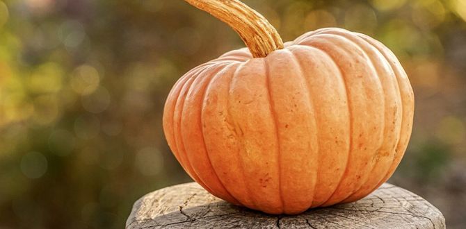 ������� ������� �����: ��� �������� ���������� ������