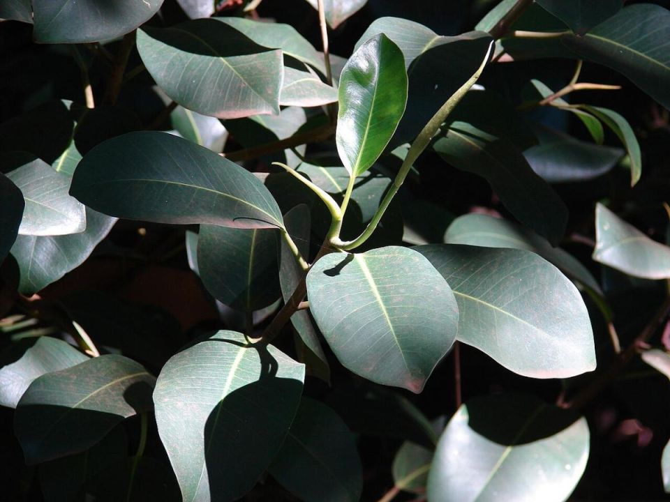 ���������� ������ � ������ ������ � �������� ��������