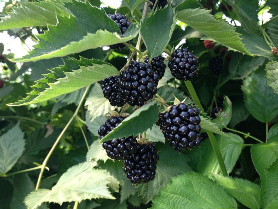 ����� � ��� �������� ������� ��� ������������� ������