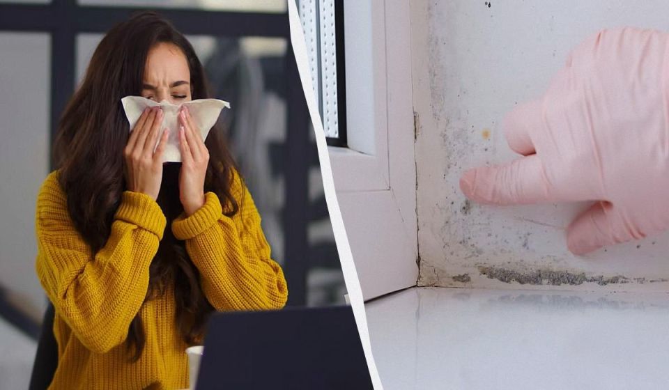 Бюджетное средство для борьбы с плесенью: как справиться за час