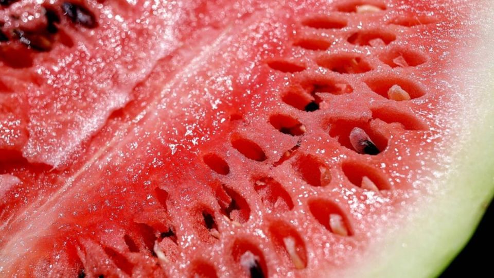 ��� �� �������� ������: ������ ��������� ���� ������ ��������