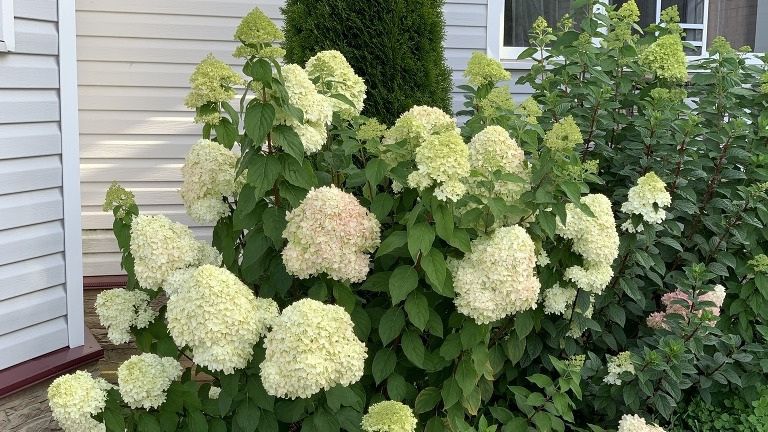 �������������� ���������: ��� ������� ��������� � ����� �������� ���� � ����