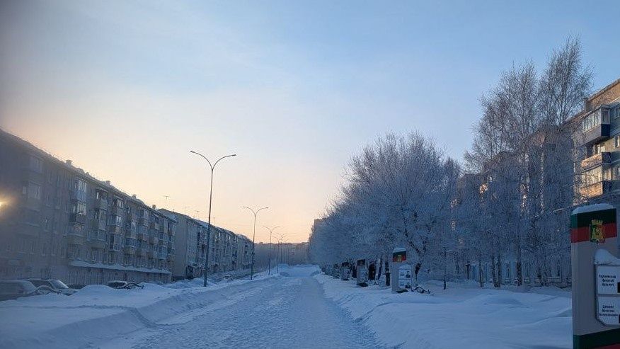 Как согреться во время морозов: рецепт ягодного пирога на каждый день