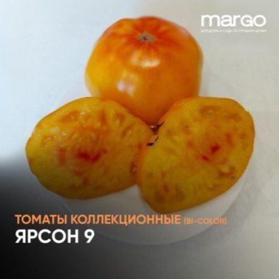 ����� ����� 9: ����� ������ � ������ �� ��������