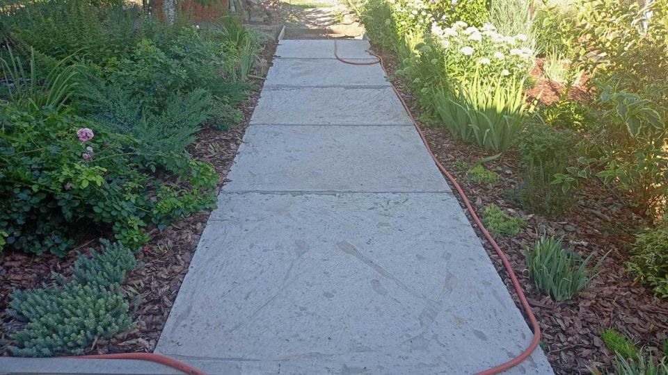 ��� ������������ ���� �������: �� ���� �� ��������