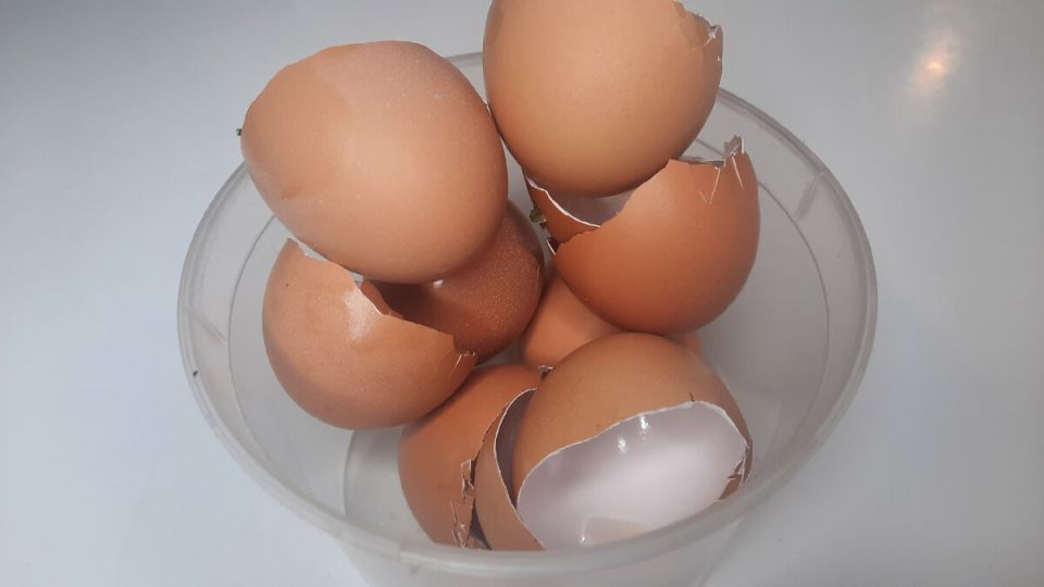 ������ ����� ������������ �������� �� ��� � ����: �������� ������