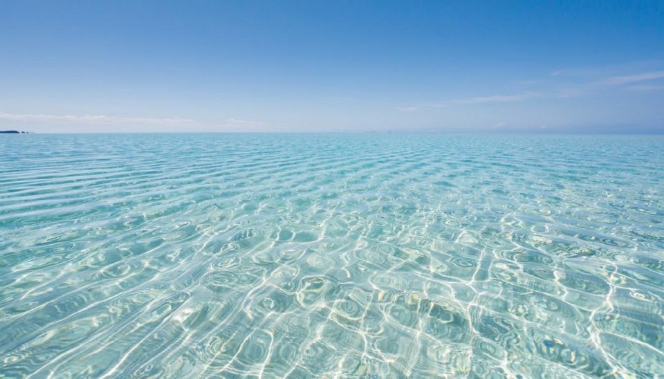 ��� ���� �� ����� �������� ���� �����: 5 ��������, ������� �� �� �����