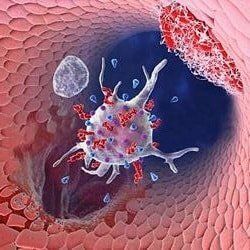 ��� ����� � ��������� ������������ � ����: �������� ������ ��������