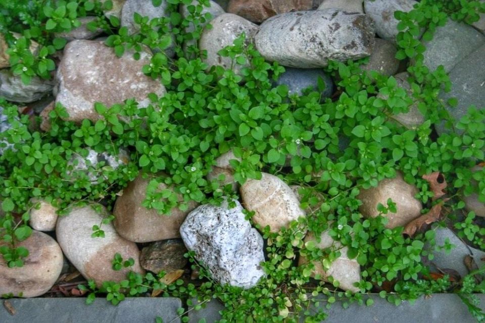 ����������� ��������� ������ � �������� �� ����� �������