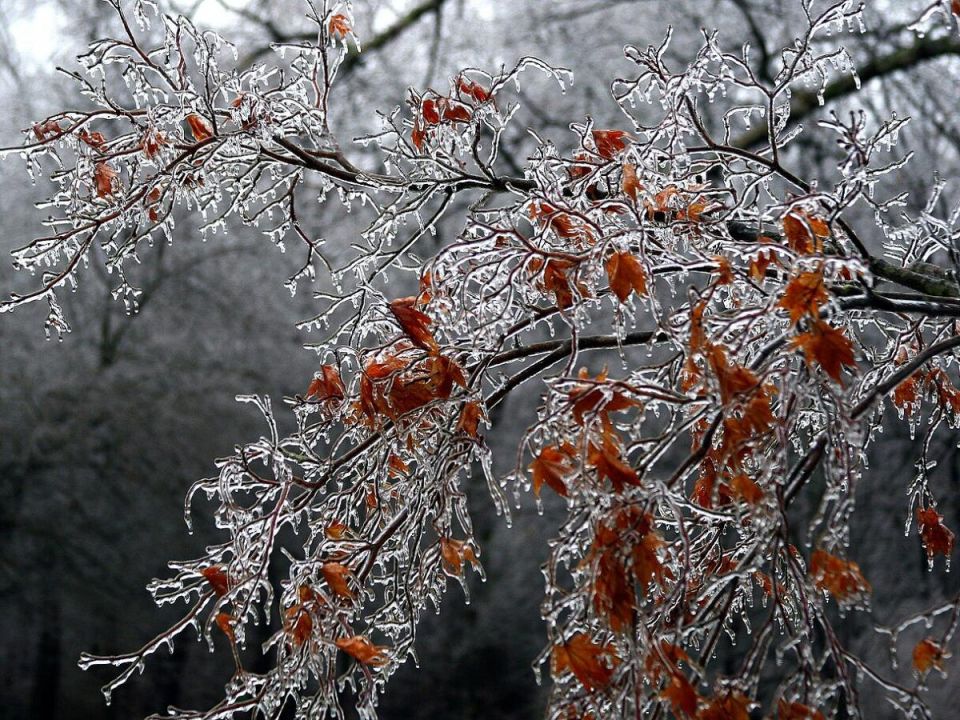 ��� ������ �������� �������� ������ ����: ������ ���������