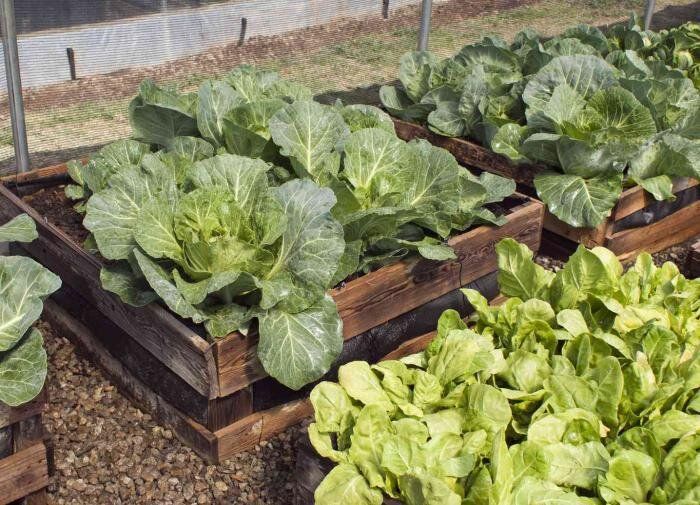 ������� ��������� �����������: ��� �������� �������� � ���������� �� ��������� ����