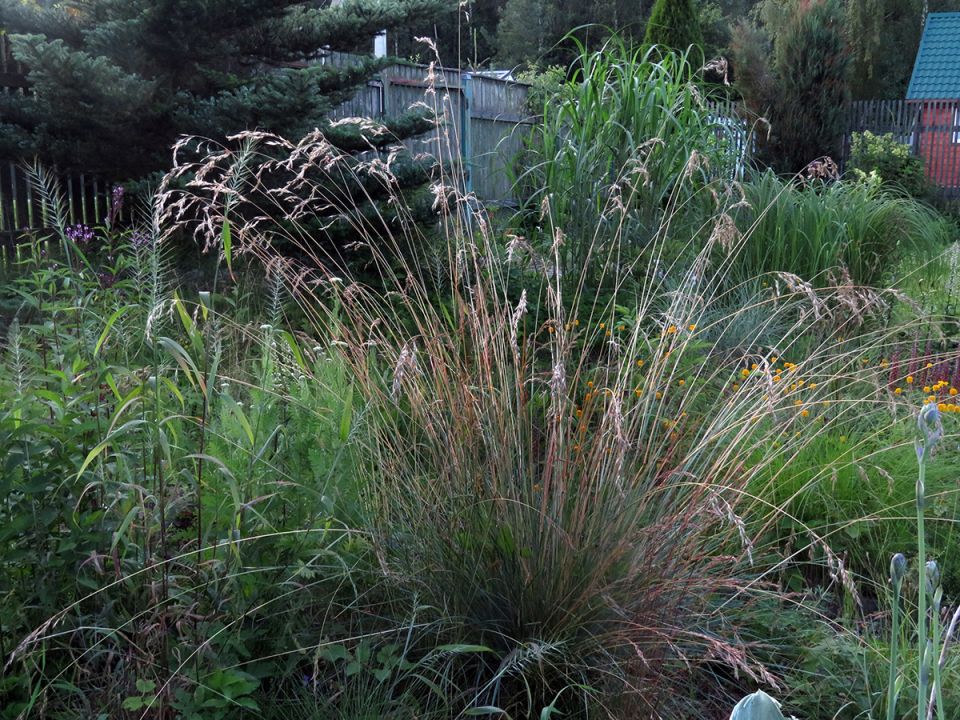 �������� �����������: ����� ������� ���������