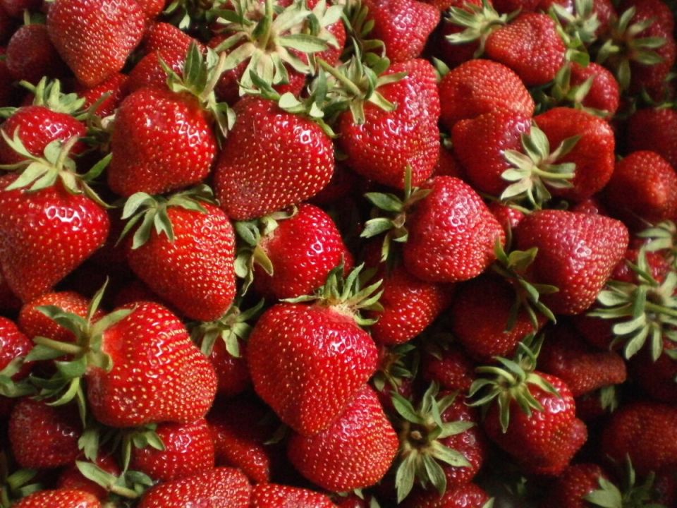 Что делать, если у клубники листья желтеют и скручиваются: быстрые советы