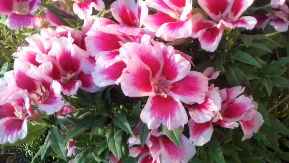 ��� ������� ����� ������� ������ ������������ ������ � ������ �������