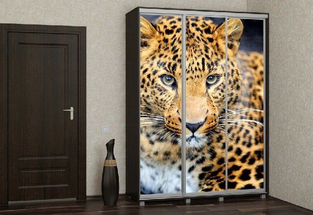 ����� ��������� ���������: ��������� � ���������� �� ������